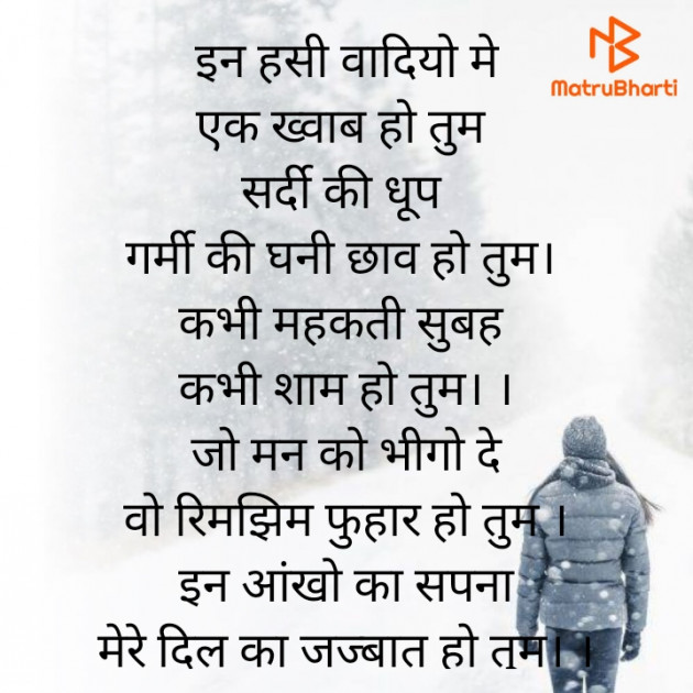 Hindi Poem by Meera Singh : 111786822