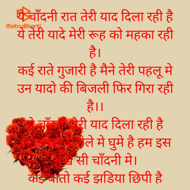 Hindi Poem by Meera Singh : 111787082