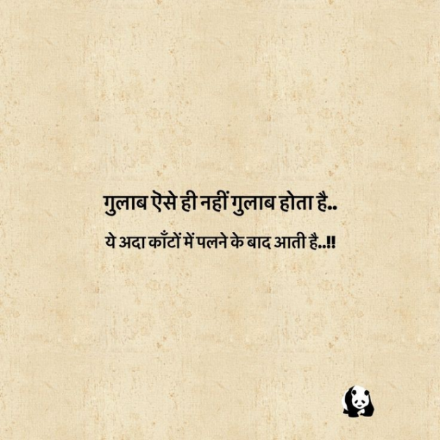 Gujarati Shayri by Balkrishna patel : 111787203