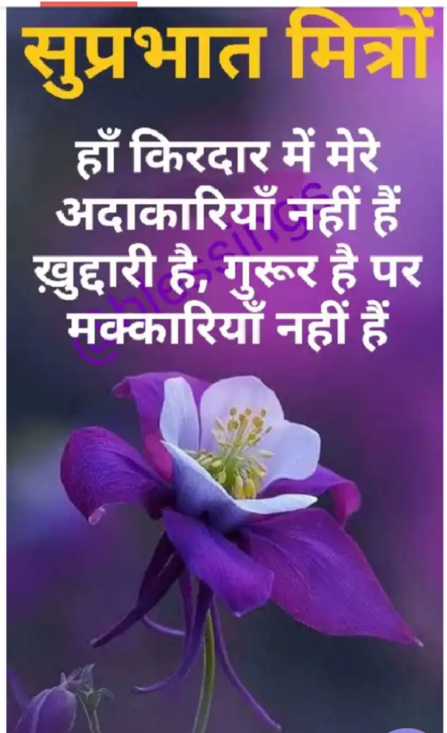 Hindi Whatsapp-Status by Sanjay Singh : 111787401