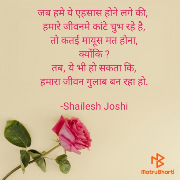 Gujarati Thought by Shailesh Joshi : 111787698