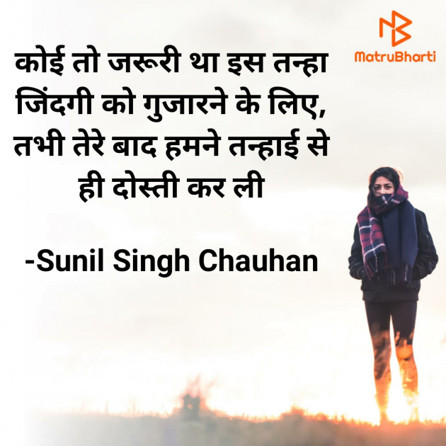 Hindi Blog by Sunil Singh Chauhan : 111788134