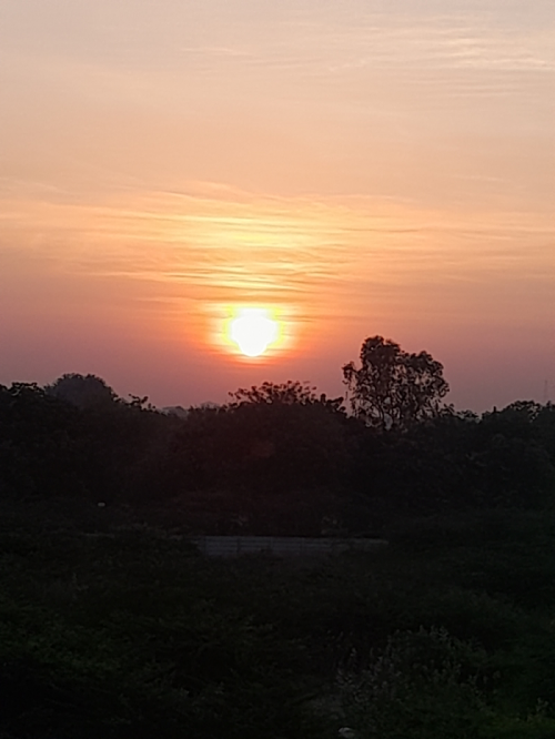 Post by Ruchir M on 28-Feb-2022 07:51am