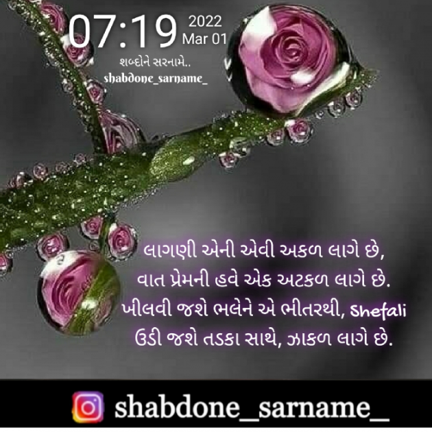 Gujarati Whatsapp-Status by Shefali : 111788881