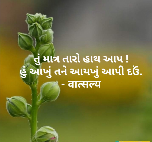 Gujarati Shayri by वात्सल्य : 111789536