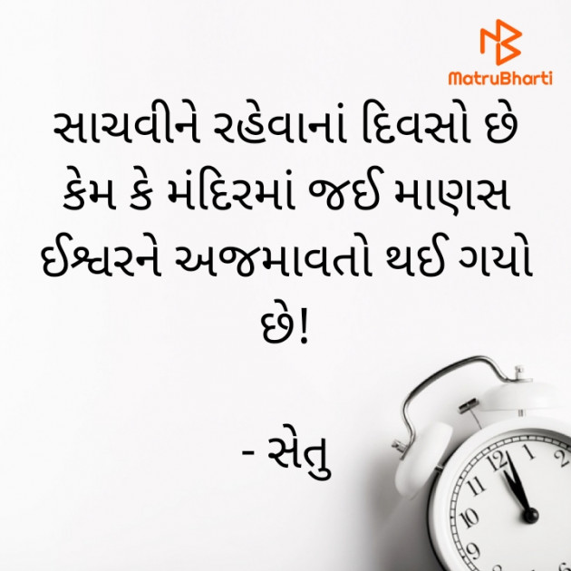 Gujarati Quotes by Setu : 111789646
