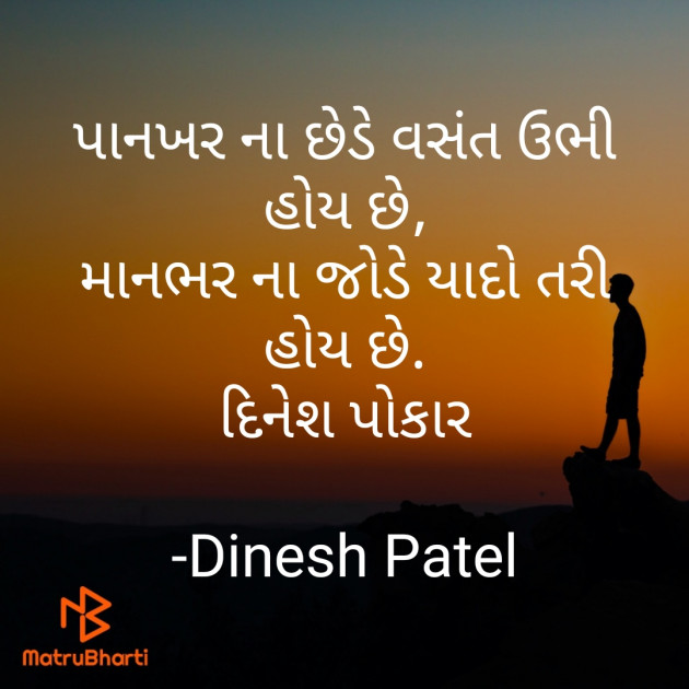 Gujarati Shayri by Dinesh Patel : 111789710