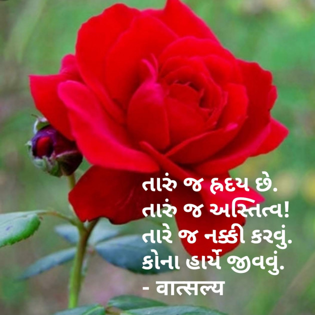 Gujarati Shayri by वात्सल्य : 111789917