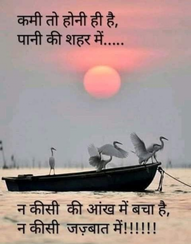 Gujarati Shayri by Balkrishna patel : 111790010