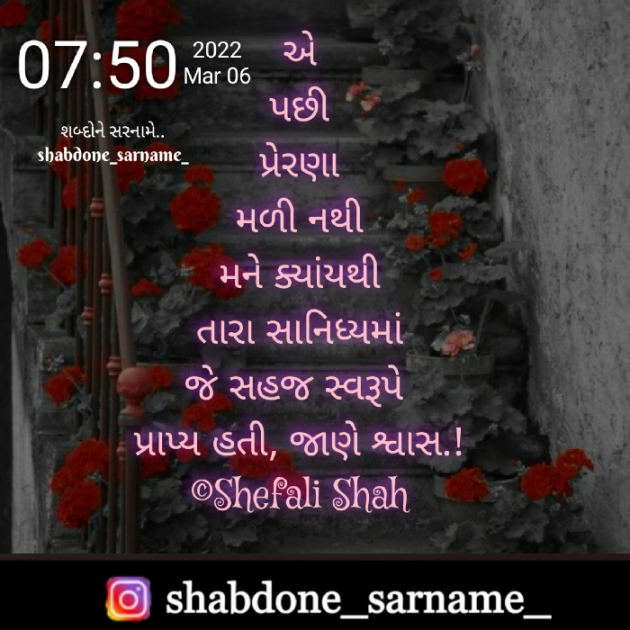 Gujarati Whatsapp-Status by Shefali : 111790027