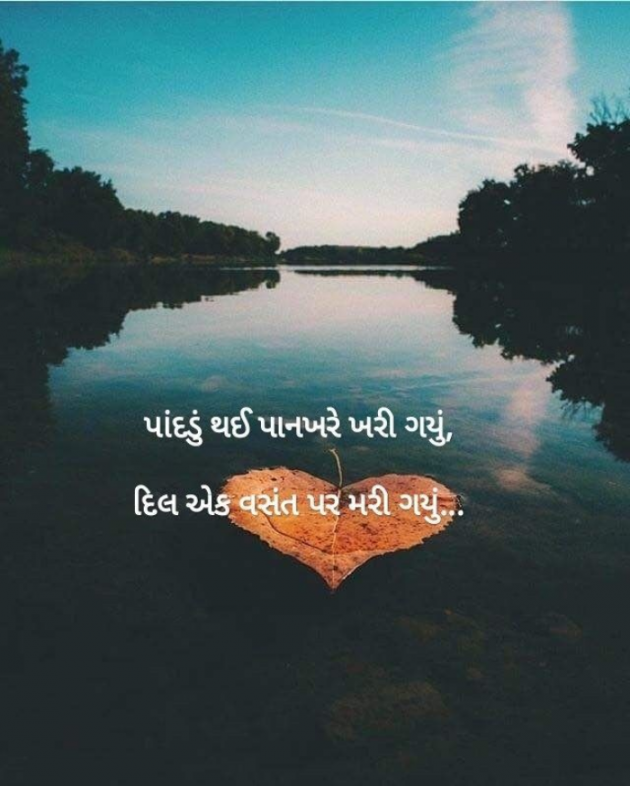 Gujarati Shayri by Balkrishna patel : 111790724