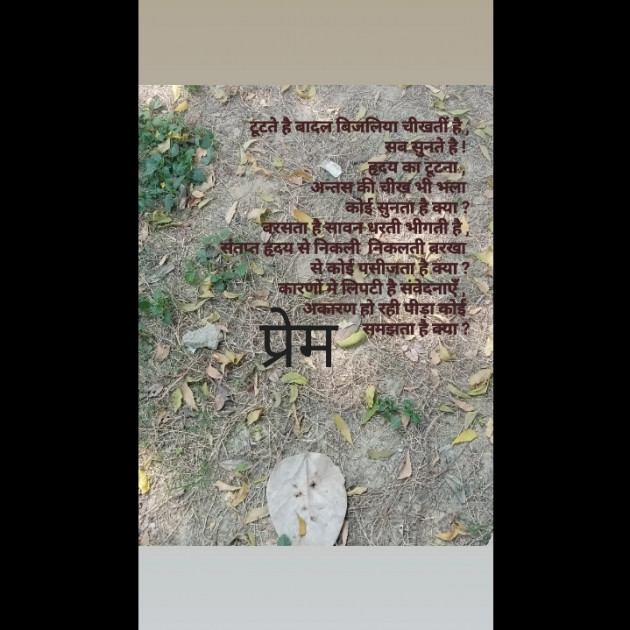 Hindi Poem by Ruchi Dixit : 111791546