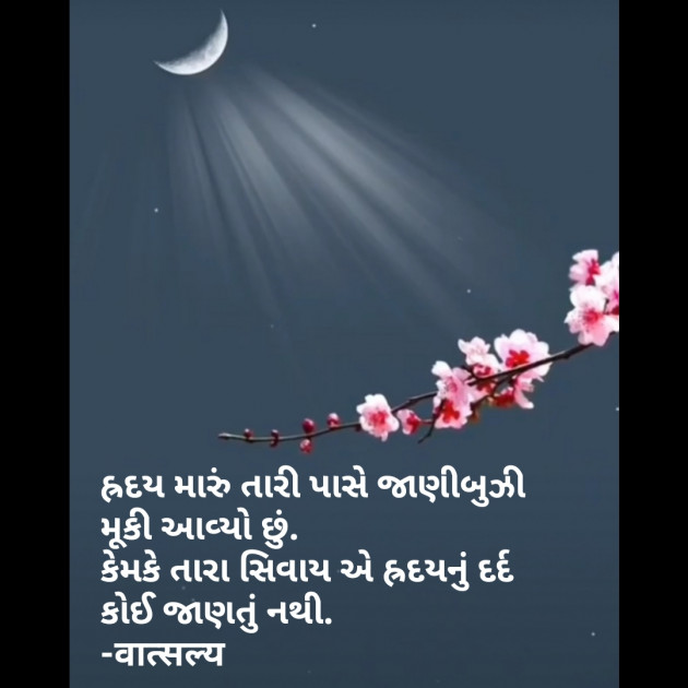 Gujarati Shayri by वात्सल्य : 111791754
