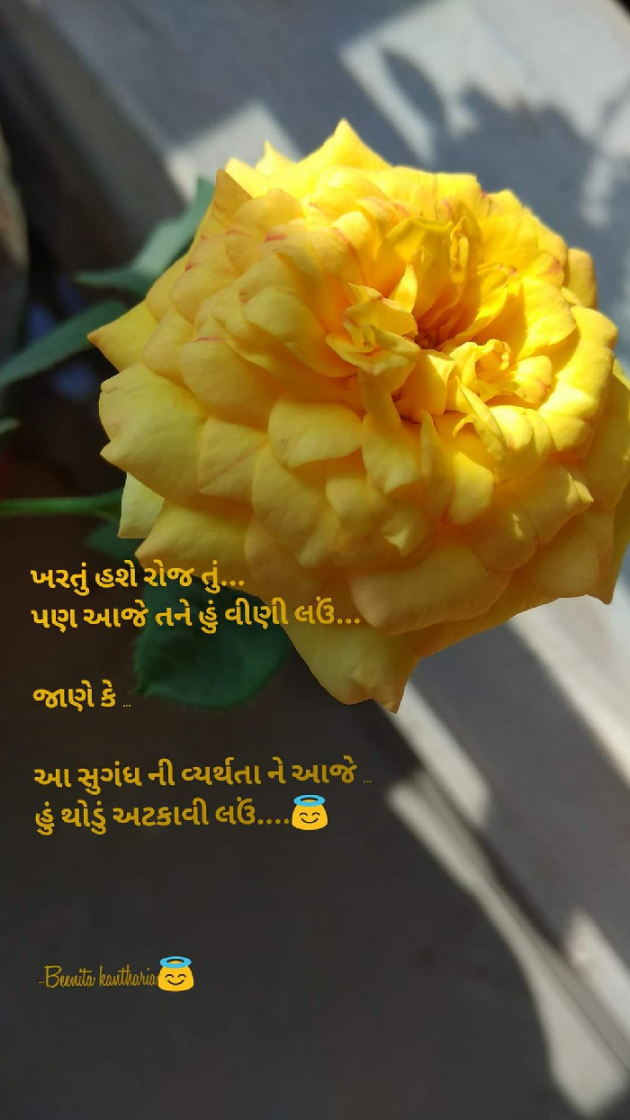 Gujarati Shayri by Beenita Kantharia : 111791756