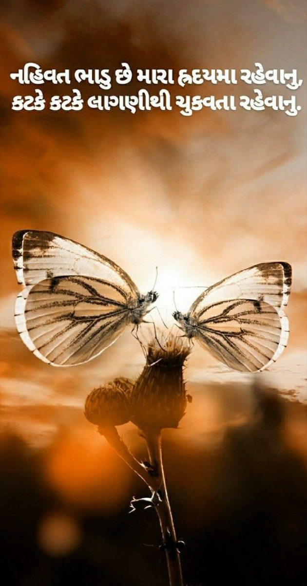 Gujarati Shayri by Balkrishna patel : 111792024