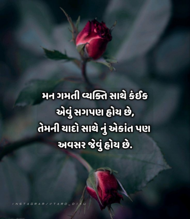 Gujarati Shayri by Balkrishna patel : 111792269