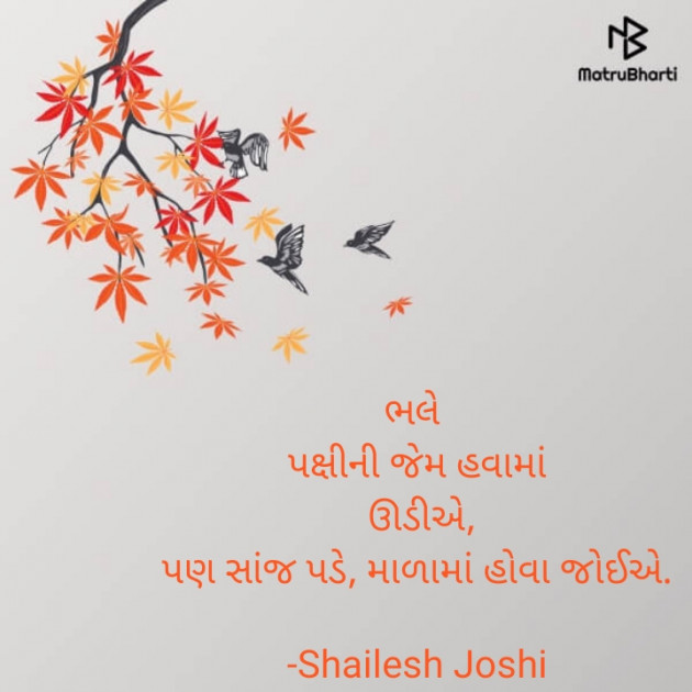 Gujarati Thought by Shailesh Joshi : 111792489