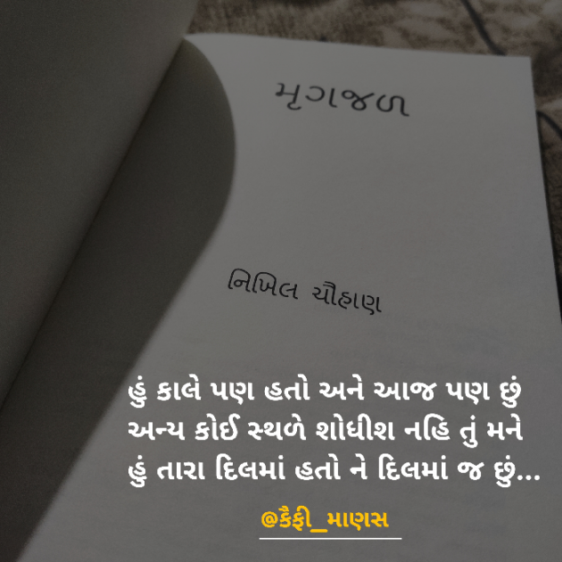 Gujarati Shayri by Nikhil Chauhan : 111793137