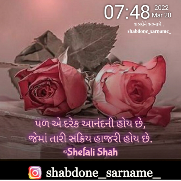 Gujarati Whatsapp-Status by Shefali : 111793274