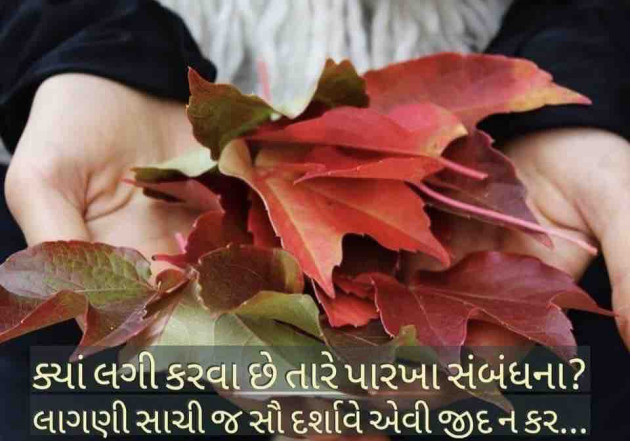 Gujarati Thought by Dipika : 111793535
