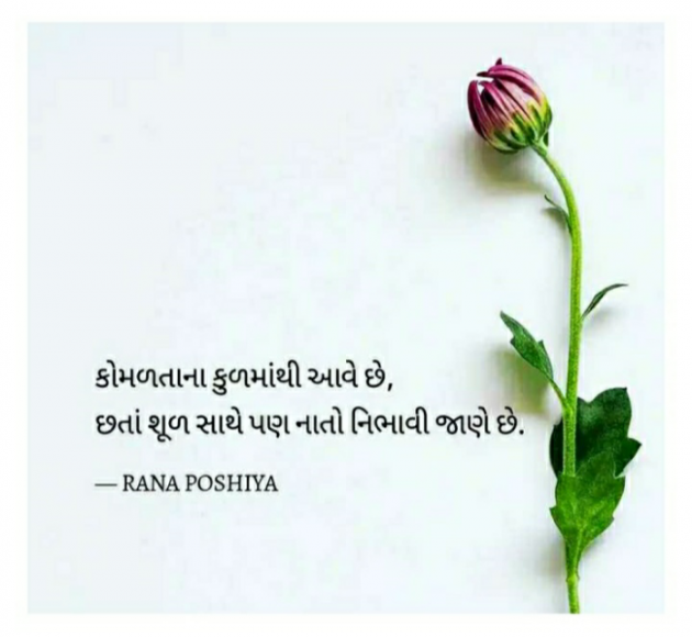 Gujarati Quotes by R G POSHIYA : 111794148