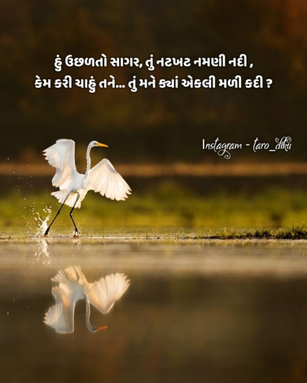 Gujarati Shayri by Balkrishna patel : 111794263