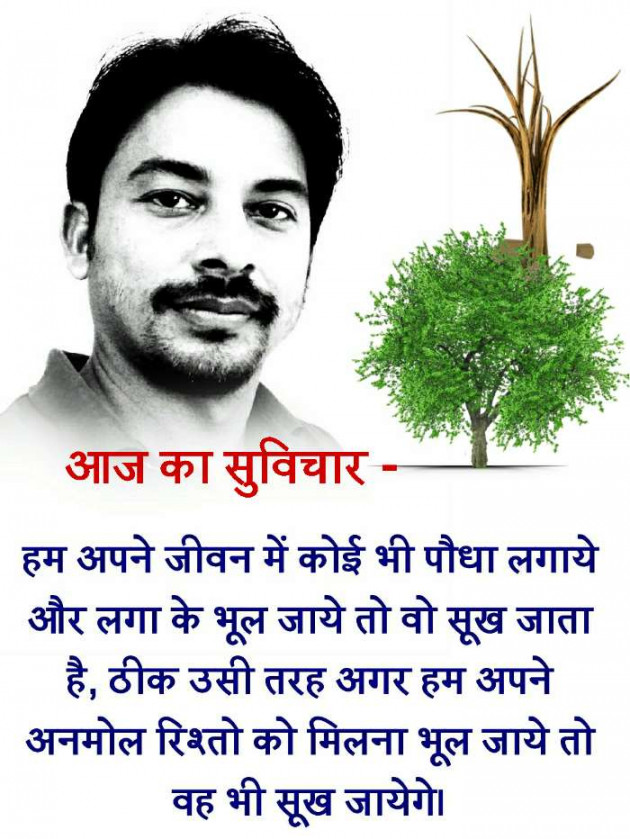 Hindi Quotes by Dilip G Yadav : 111794371