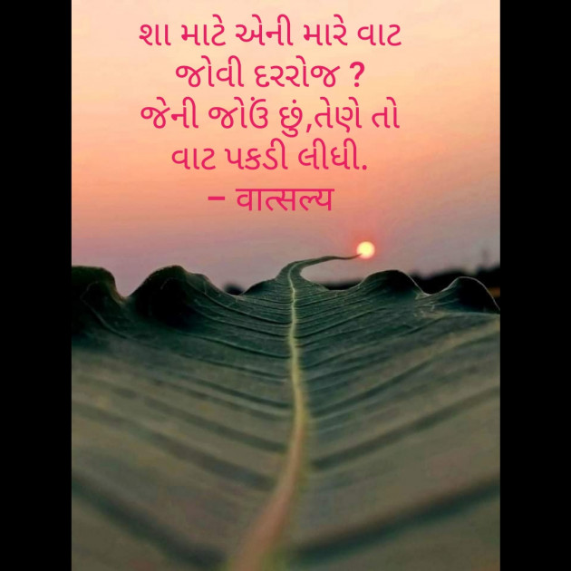 Gujarati Shayri by वात्सल्य : 111794489
