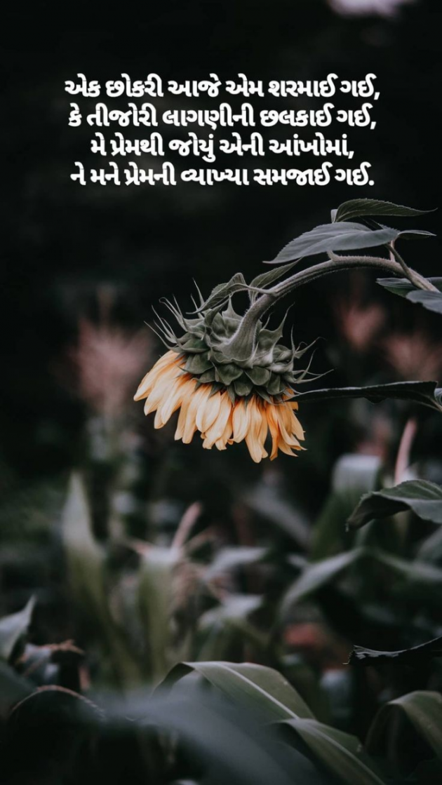 Gujarati Shayri by Balkrishna patel : 111794704
