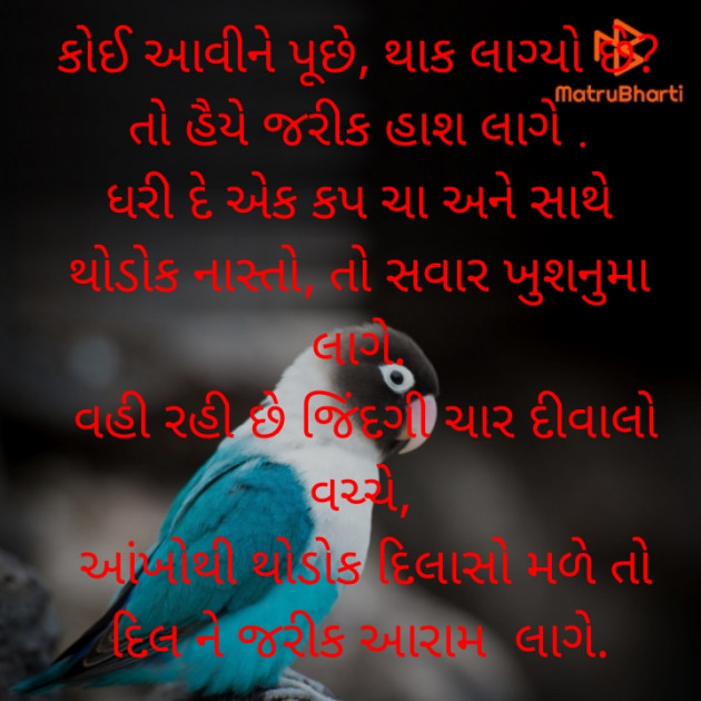 Gujarati Shayri by Rekha Detroja : 111794906