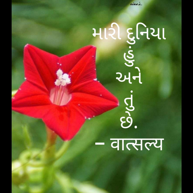 Gujarati Shayri by वात्सल्य : 111794988