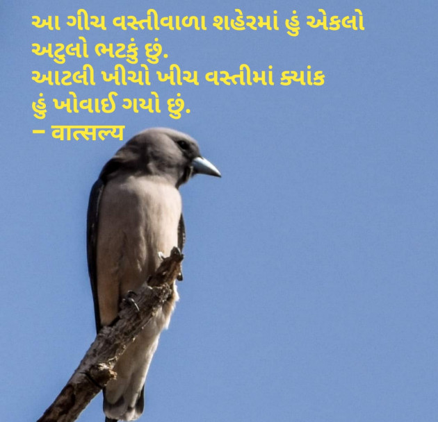 Gujarati Shayri by वात्सल्य : 111794989