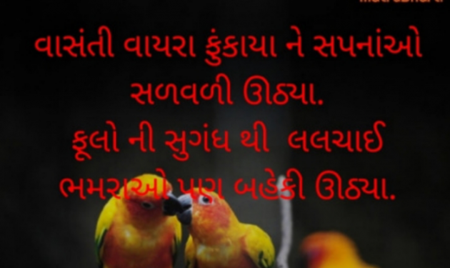 Gujarati Shayri by Raj : 111795106
