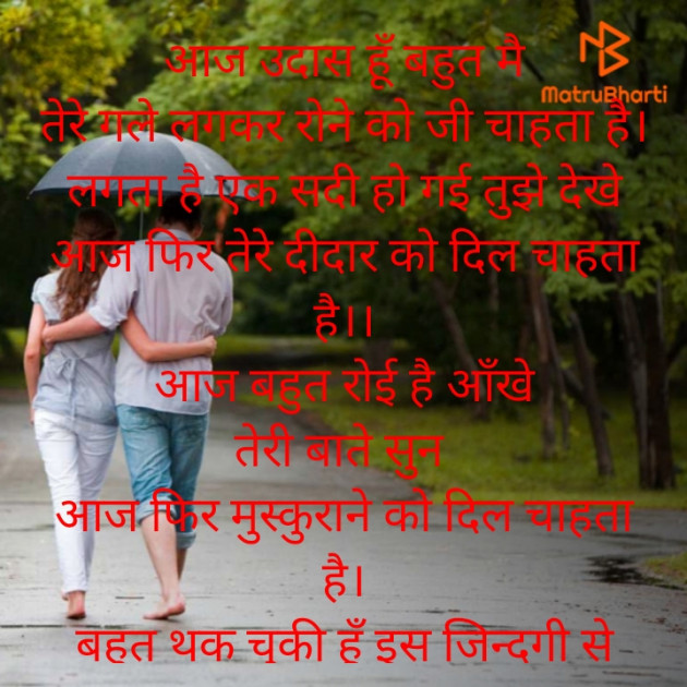 Hindi Poem by Meera Singh : 111795157