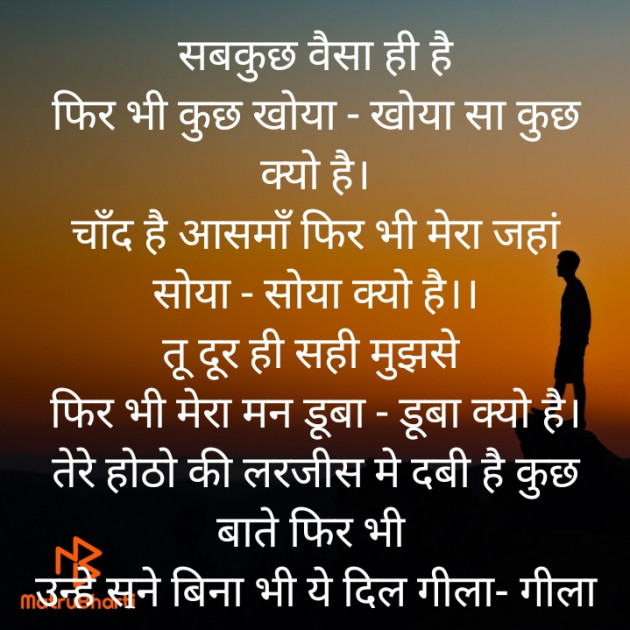 Hindi Poem by Meera Singh : 111795396