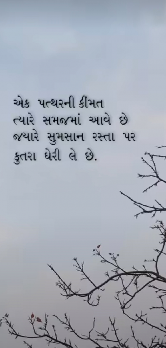 Gujarati Thought by Het Vaishnav : 111796062