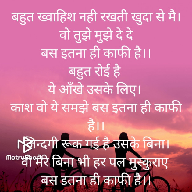 Hindi Poem by Meera Singh : 111796571