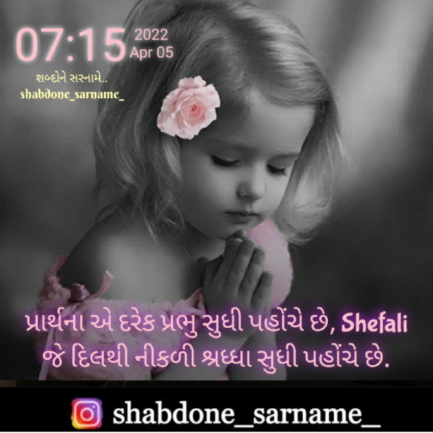 Gujarati Whatsapp-Status by Shefali : 111796809