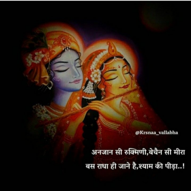 Gujarati Shayri by Balkrishna patel : 111797124