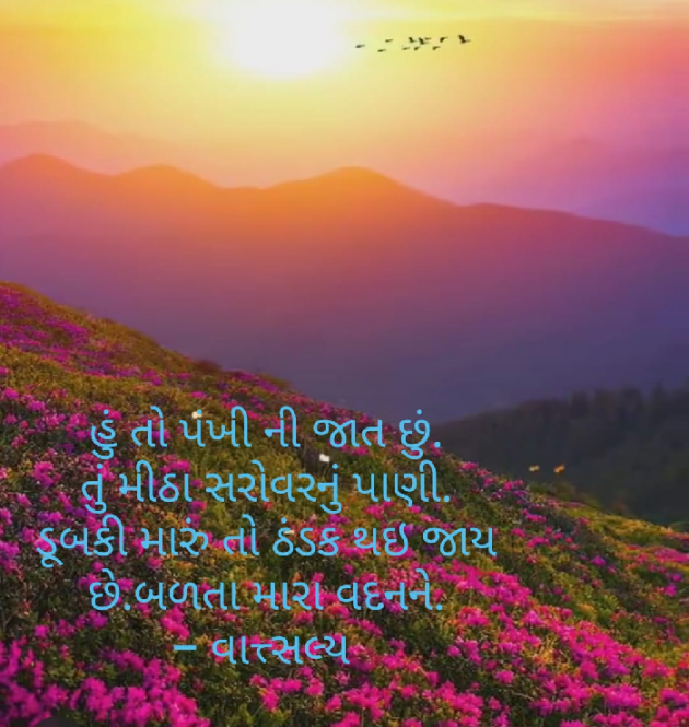 Gujarati Shayri by वात्सल्य : 111797443