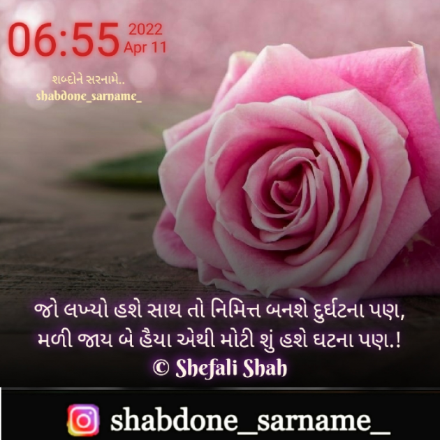 Gujarati Whatsapp-Status by Shefali : 111798135