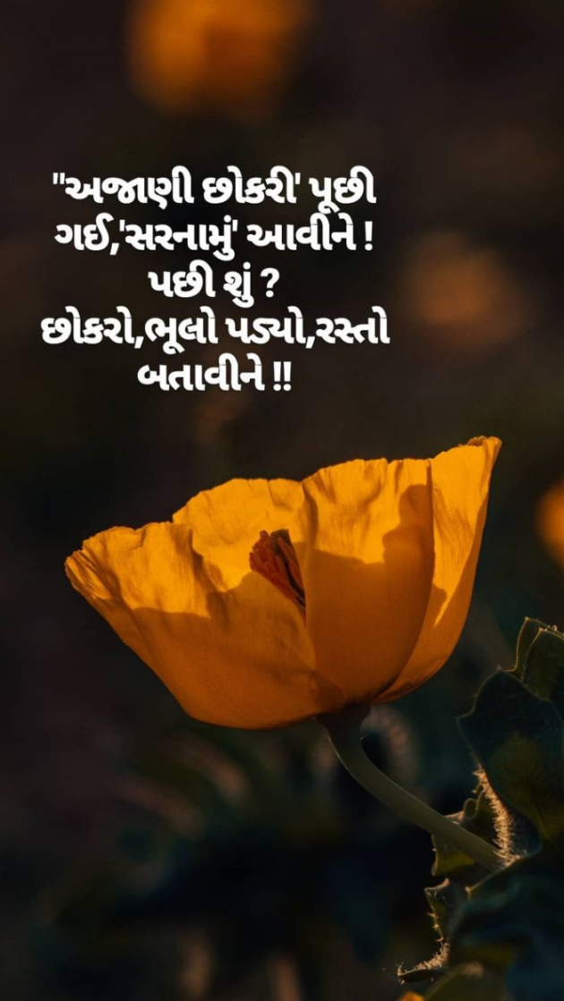 Gujarati Shayri by Balkrishna patel : 111798196
