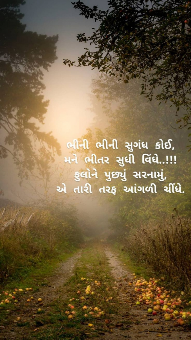 Gujarati Shayri by Balkrishna patel : 111798849