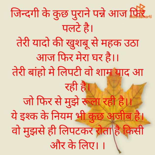 Hindi Poem by Meera Singh : 111799187