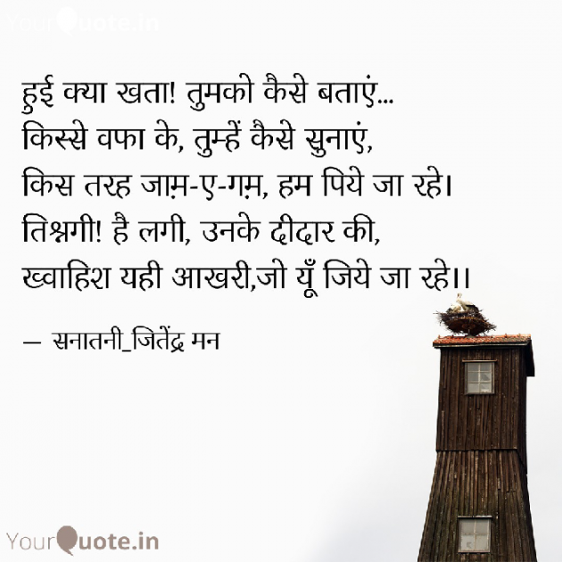 Hindi Shayri by सनातनी_जितेंद्र मन : 111799389