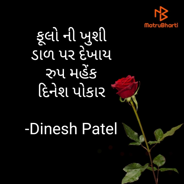 Gujarati Shayri by Dinesh Patel : 111799900