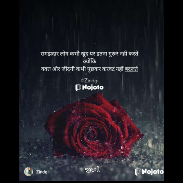 Gujarati Shayri by Falguni Maurya Desai _જીંદગી_ : 111800334