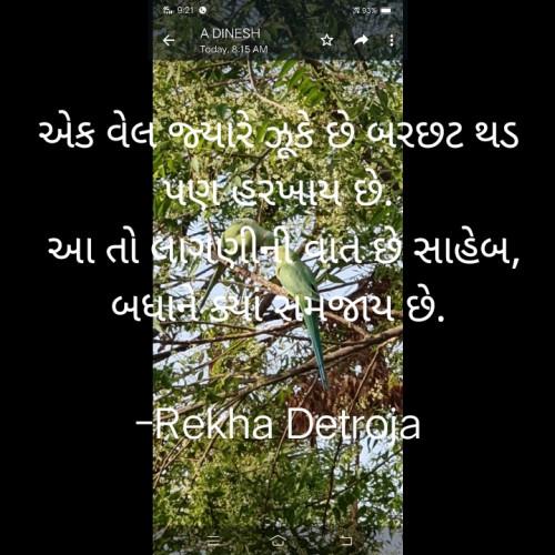 Post by Rekha Detroja on 25-Apr-2022 09:55am