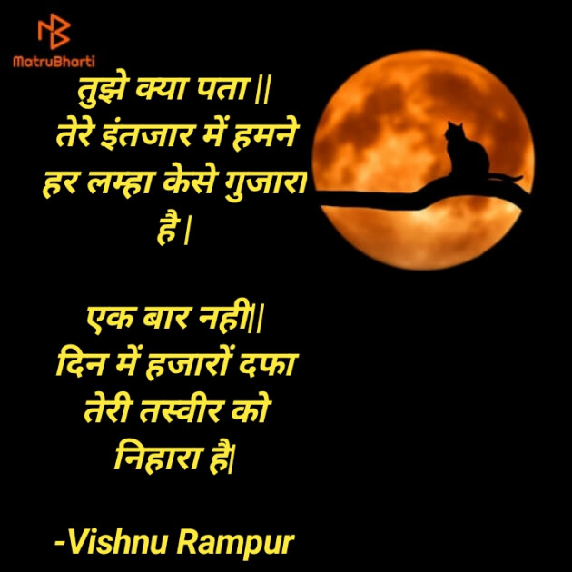 Hindi Shayri by Vishnu Dabhi : 111801421