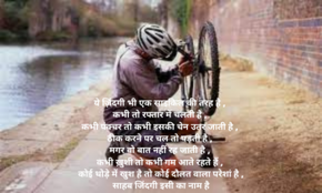 Hindi Poem by S Sinha : 111801437